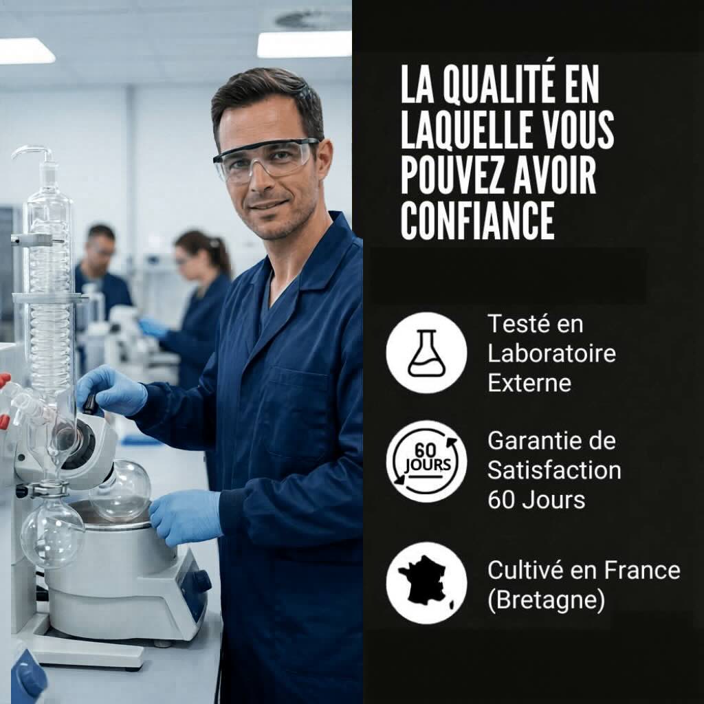 Extrait de Lion's Mane | Le champignon qui boost ton cerveau - AKA