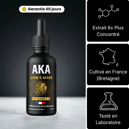 Extrait de Lion's Mane | Le champignon qui boost ton cerveau - AKA